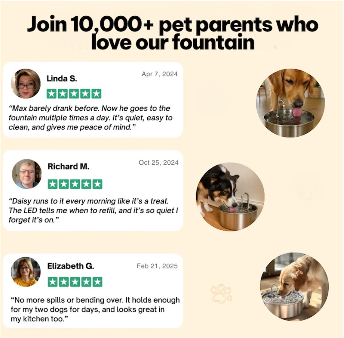 Protect your pet from dehydration and urinary emergencies with EverPaws™️