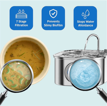 Protect your pet from dehydration and urinary emergencies with EverPaws™️