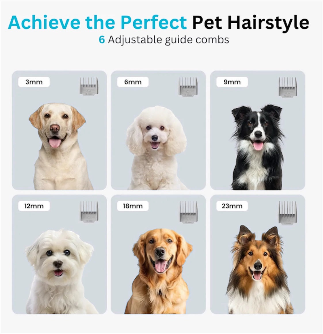 Everpaws 7-in-1 pet vacuum care kit